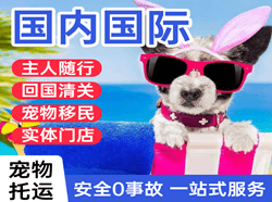 西双版纳嘎洒空运地址国际宠物托运 【国